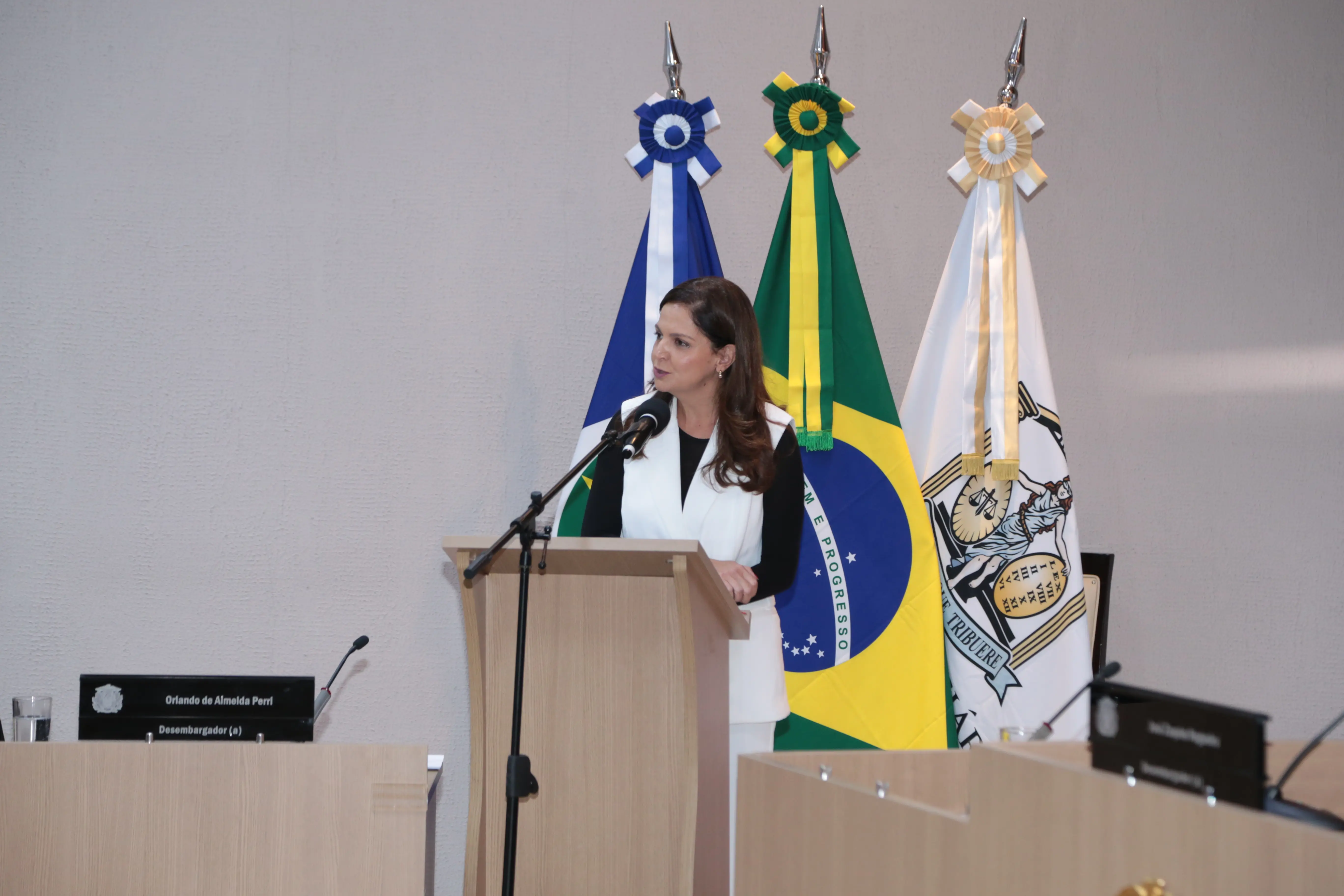 Mulher de terno branco e preto discursa no plenário do TJMT. Bandeiras nacional, estadual e municipal ao fundo. 