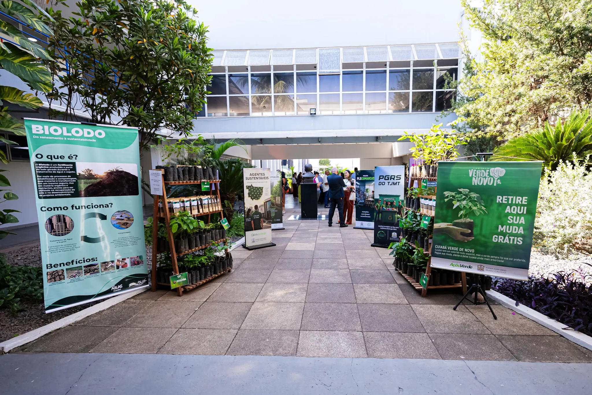 Corredor externo com piso de placas cinzas e plantas nas laterais. Estão dispostos banners informativos, prateleiras de madeira com mudas de plantas e uma placa verde com o texto "RETIRE AQUI SUA MUDA GRÁTIS".