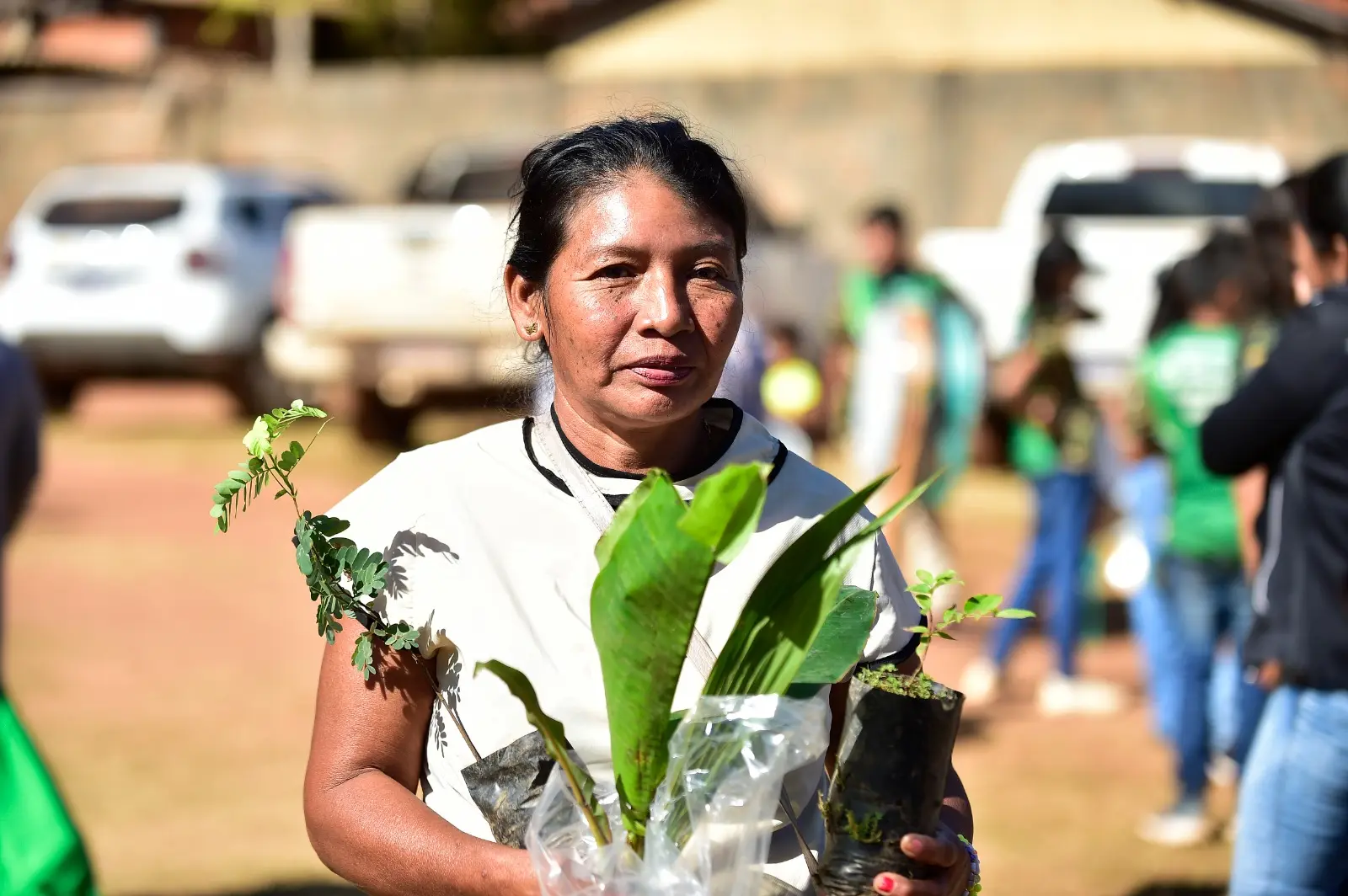 Mulher segura três mudas de plantas em sacolas plásticas, em ambiente externo. Ela veste camiseta branca e está em meio a outras pessoas e carros ao fundo.