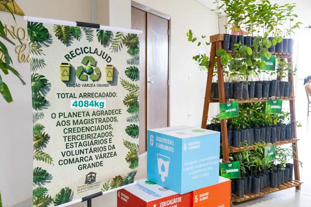 Foto horizontal que mostra um banner do Reciclajud com uma prateleira repleta de mudas ao lado e caixas com ilustrações dos objetivos de desenvolvimento sustentável.