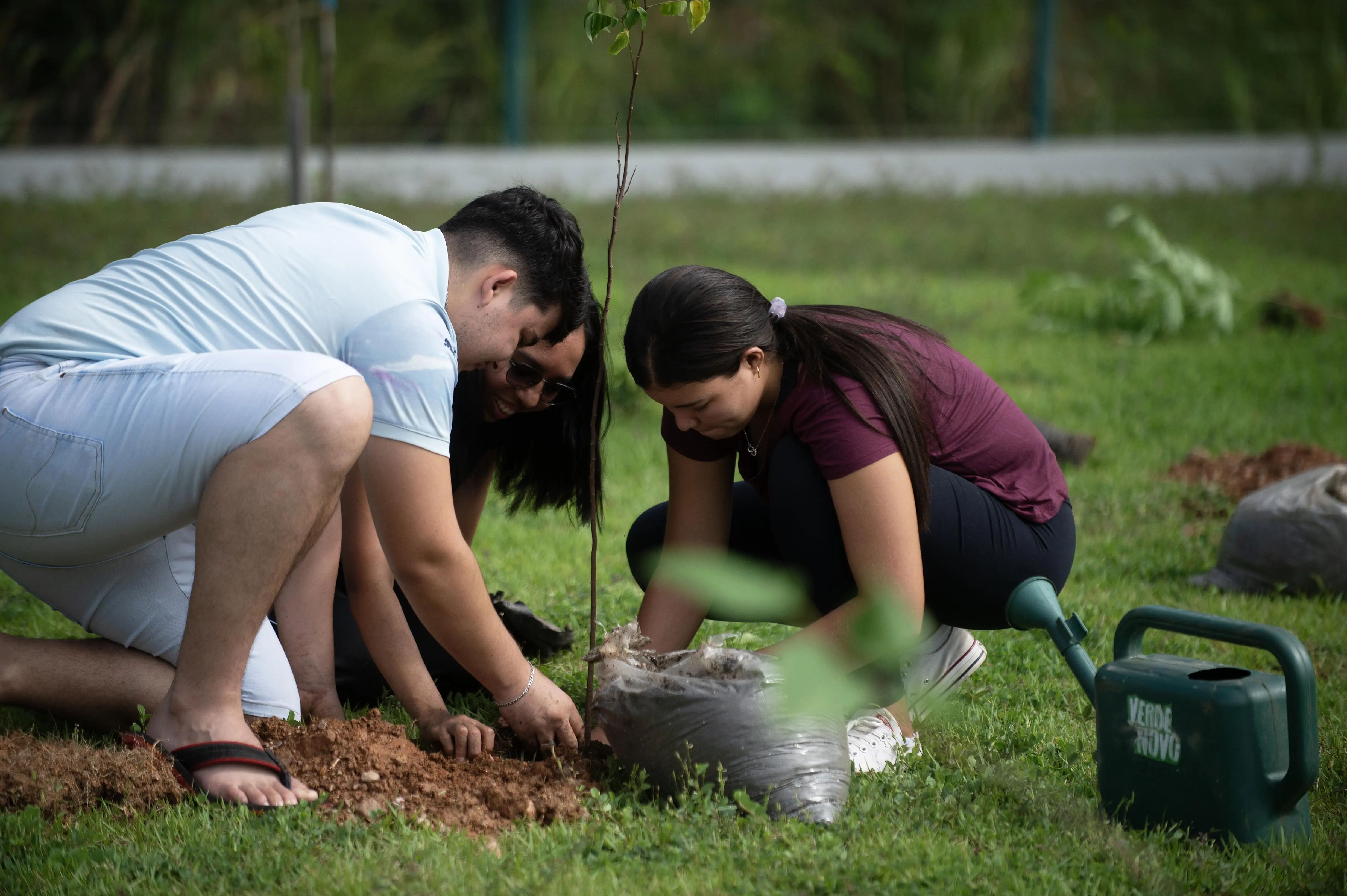 15 - Verde Novo - Parque da Família - JCD (19).webp