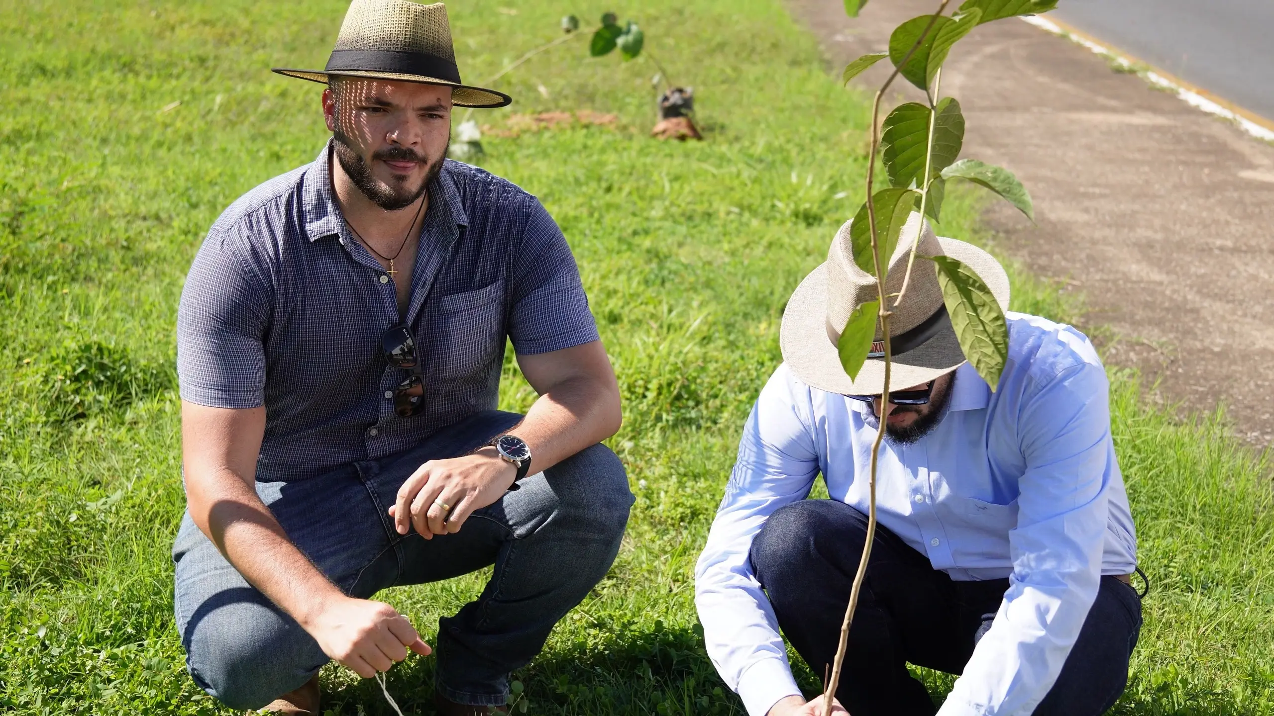 Vista em plano médio de duas pessoas de chapéu plantando uma muda de árvore. O homem da esquerda, de calça jeans e camisa xadrez, segura o caule. O da direita, de camisa azul claro, ajeita a terra na cova. Eles estão cercados por grama verde.
