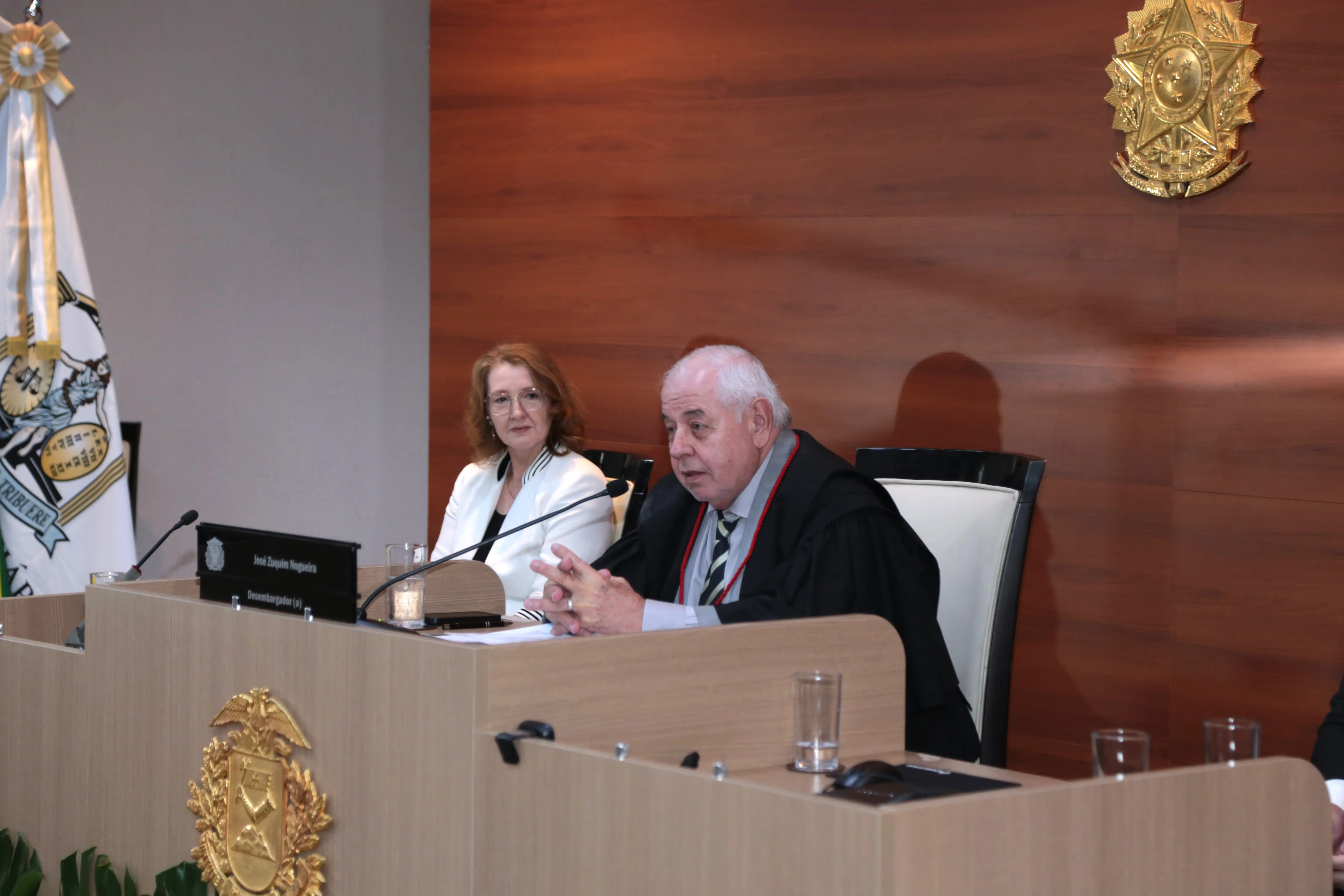 Desembargador de toga fala ao microfone durante sessão plenária. Ao lado, desembargadora observa. Ambiente formal com brasão do TJMT na parede.