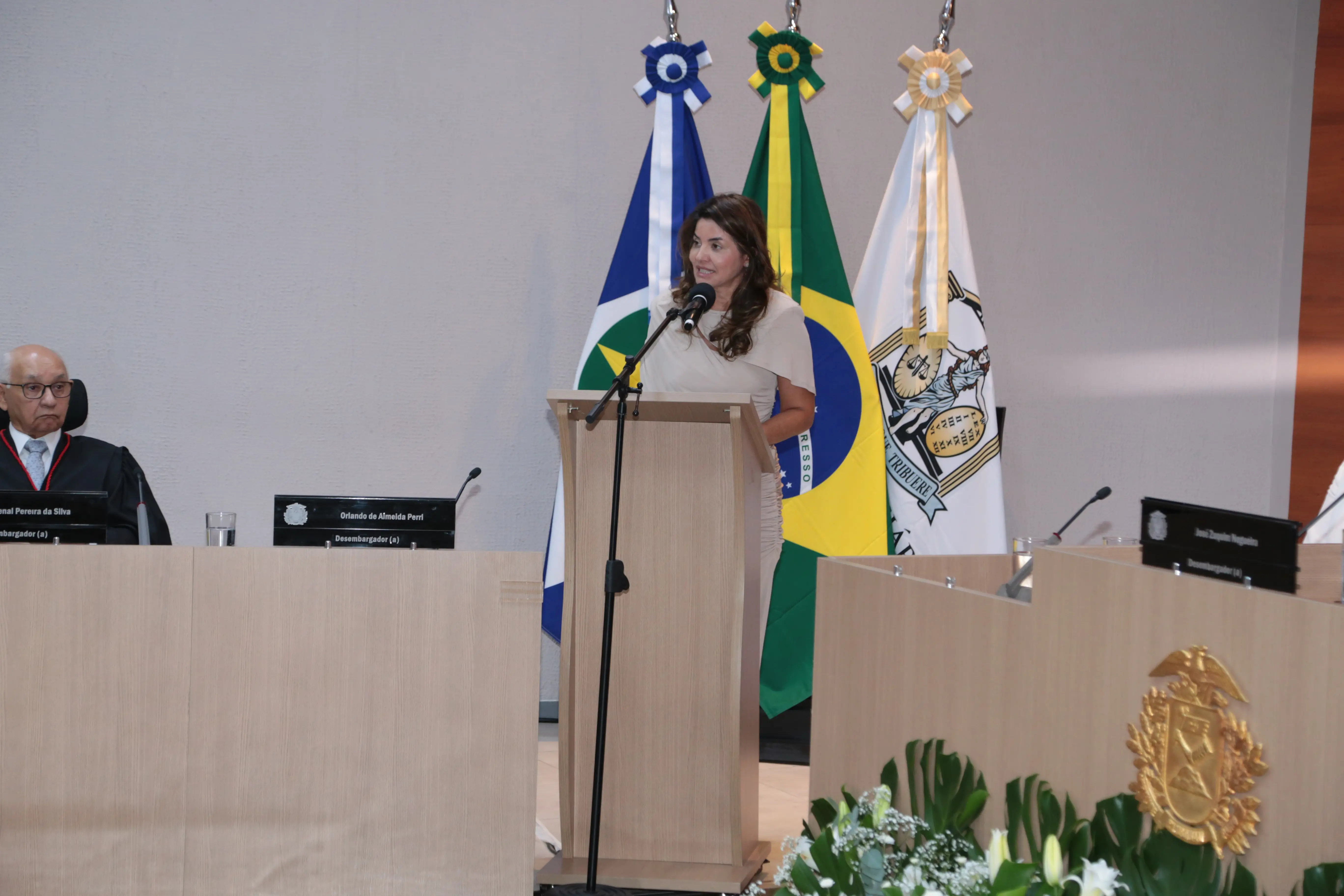 Mulher de blusa bege discursa ao microfone em plenário do TJMT, com bandeiras do Brasil, Mato Grosso e Cuiabá ao fundo.