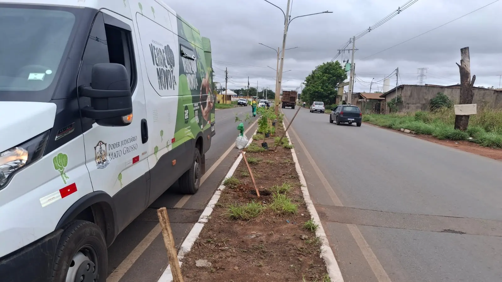 Força-tarefa planta mais de 1,3 mil mudas em Cuiabá, Mato Grosso