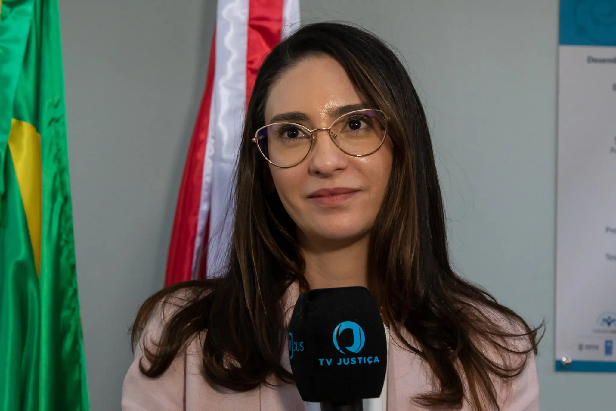 Mulher de cabelos longos e escuros, óculos de armação dourada e blazer rosa-claro é entrevistada por microfone da TV Justiça; ao fundo, bandeiras.