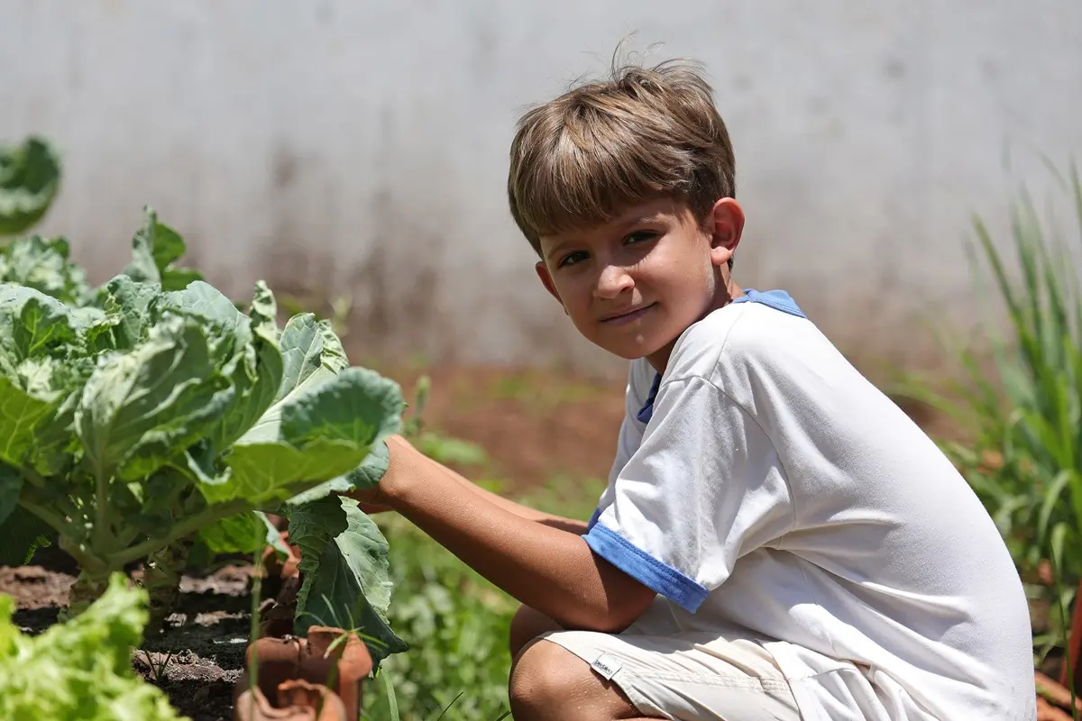 Menino loiro agachado cultiva uma horta comunitária, tocando em folhas verdes de couve. Usa camiseta branca com gola azul e calção claro. Ao fundo, um muro claro.