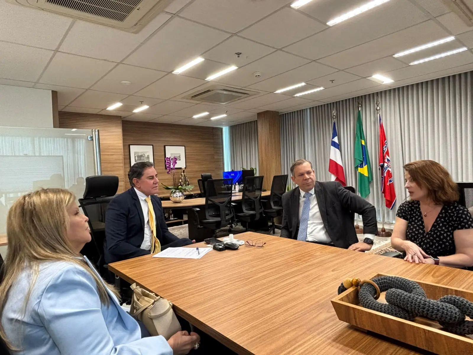 Quatro pessoas estão sentadas ao redor de uma grande mesa de madeira clara em uma sala de reuniões iluminada. Duas mulheres e dois homens conversam atentamente. Ao fundo, observam-se três bandeiras oficiais ao lado da janela com cortinas. 