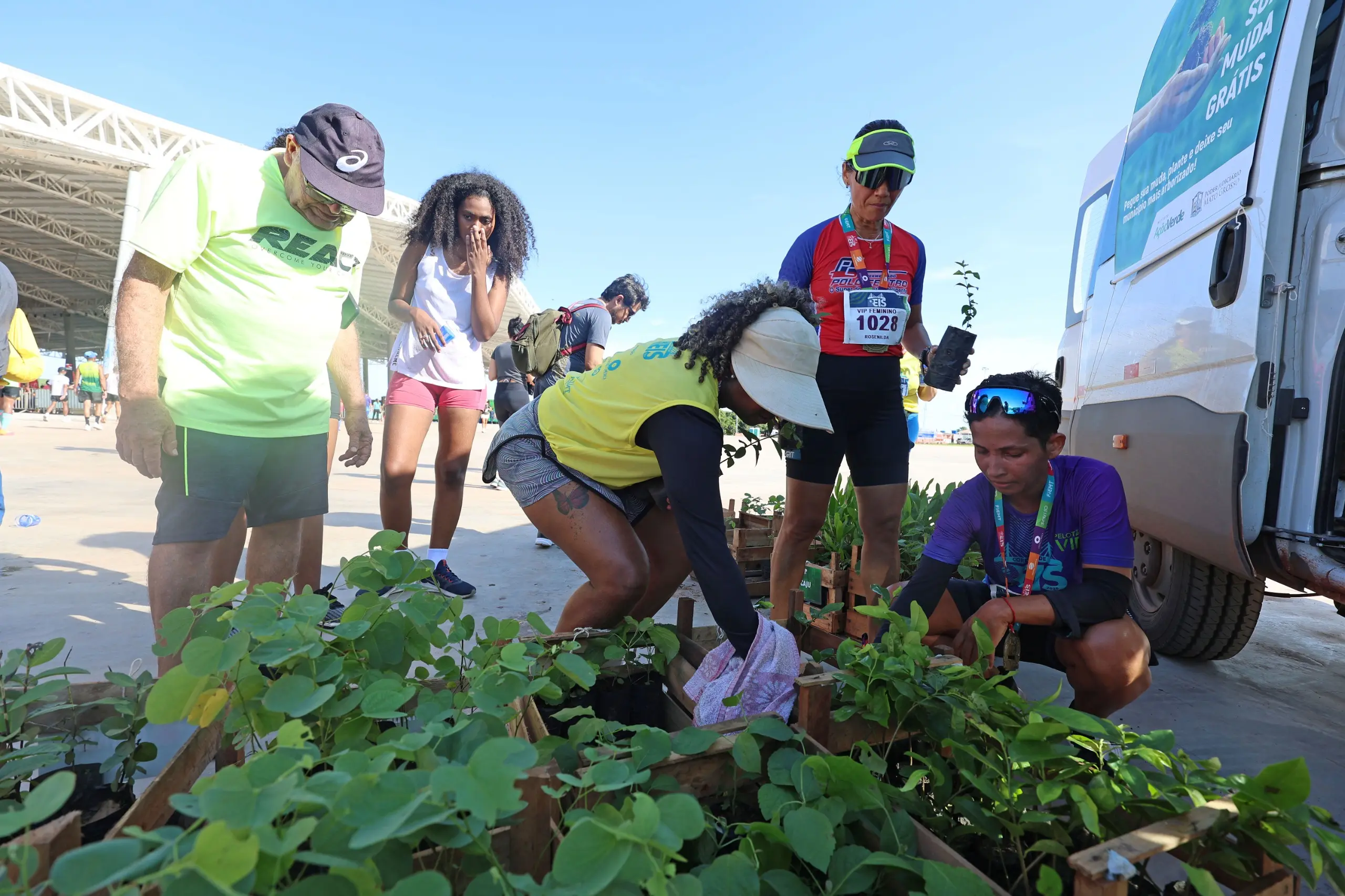 Grupo de pessoas se reúne ao redor de caixas de madeira cheias de mudas. Participantes da corrida escolhem plantas e se agacham para pegá-las, ao lado de uma van do projeto ambiental.