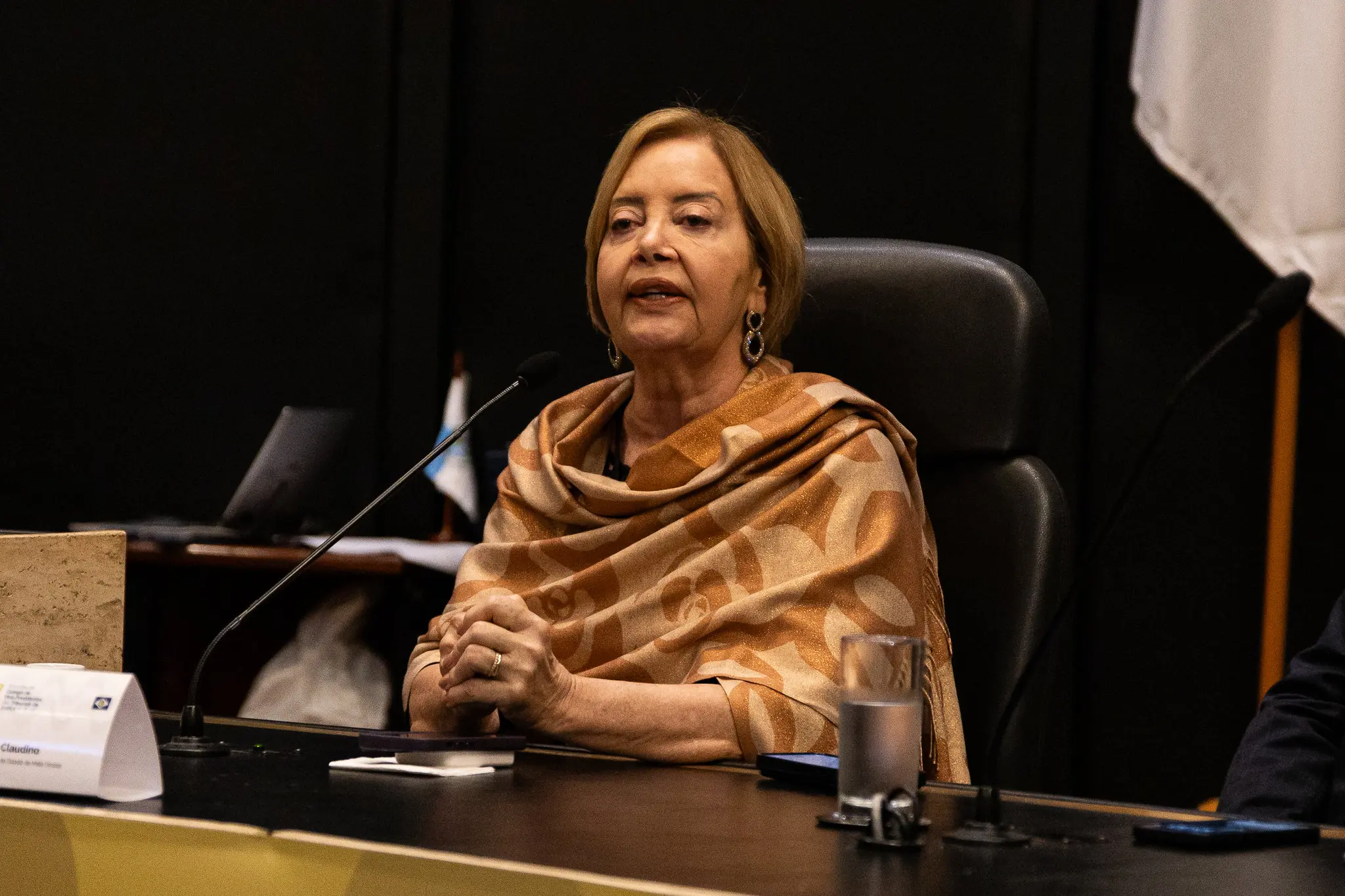 Desembargadora Clarice Claudino da Silva sentada e falando ao microfone, apoiando as mãos sobre a mesa. Ela é uma senhora branca, de cabelos loiros, curtos e lisos, olhos claros, usando echarpe com estampa floral e em tons dourados.