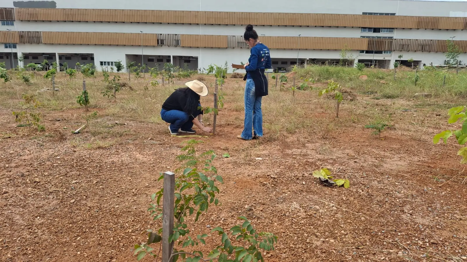 A imagem mostra duas mulheres em um terreno de terra batida e vegetação rasteira. Enquanto uma delas, de chapéu de palha, está agachada cuidando de uma planta, a outra permanece em pé ao lado fazendo anotações em uma prancheta. 
