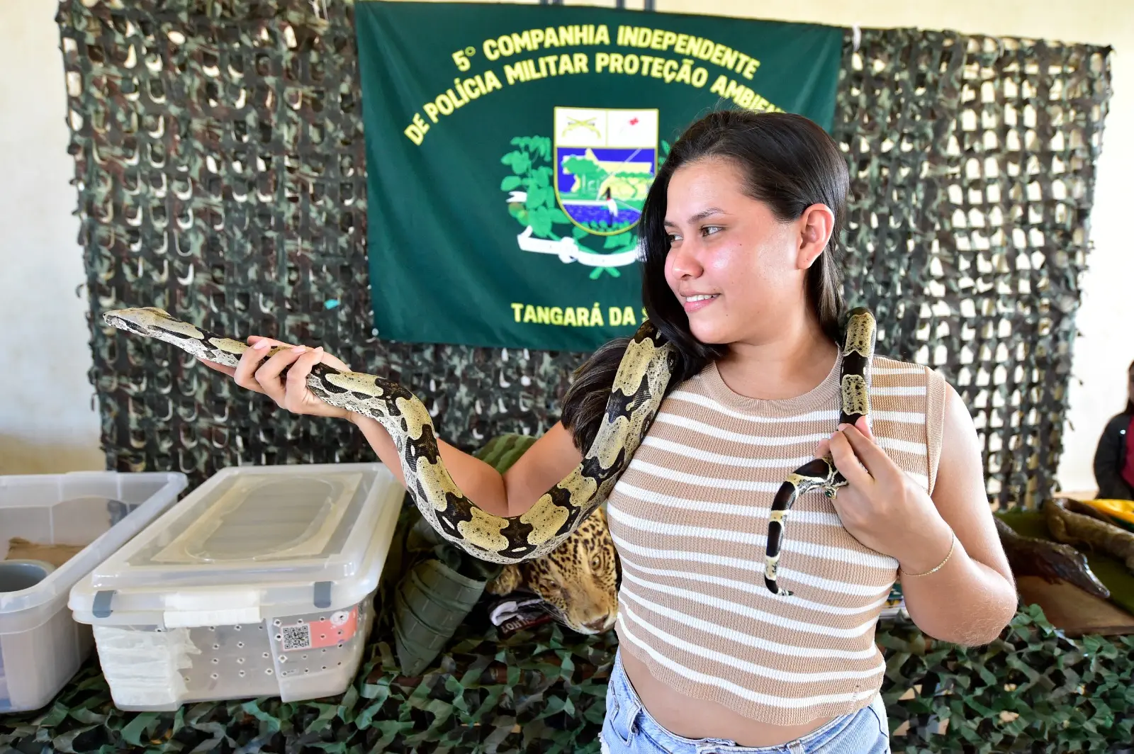 Jovem segura uma jiboia com segurança e curiosidade durante atividade educativa. Ao fundo, bandeira da Polícia Militar de Proteção Ambiental de Tangará da Serra e caixas de transporte reforçam o ambiente expositivo