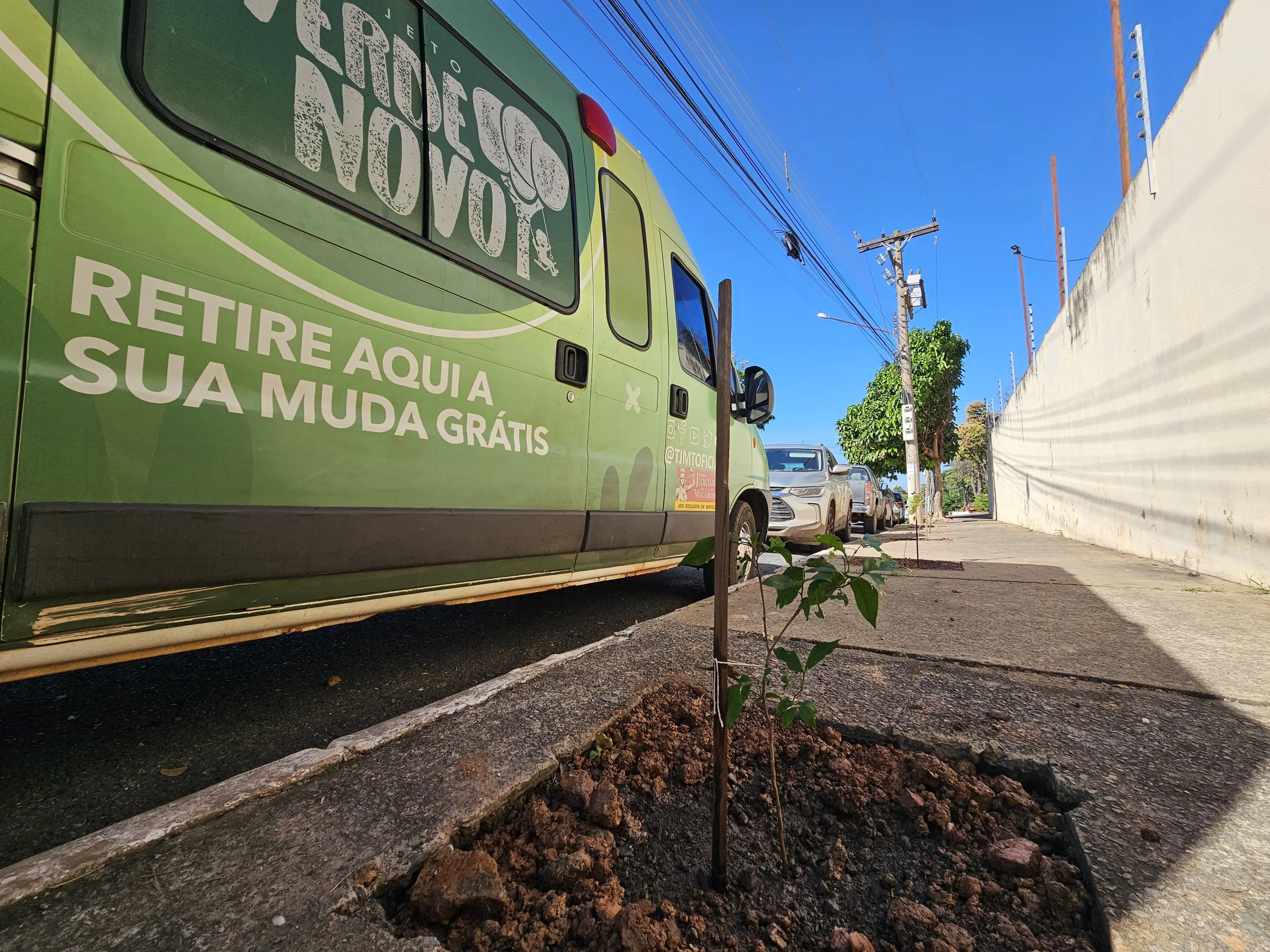 Arborização urbana reduz calor e melhora qualidade de vida em Cuiabá