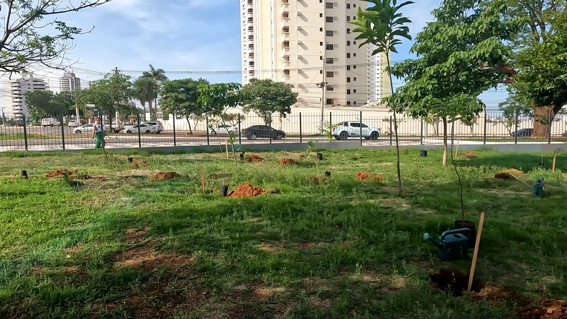 Verde Novo (1).webp