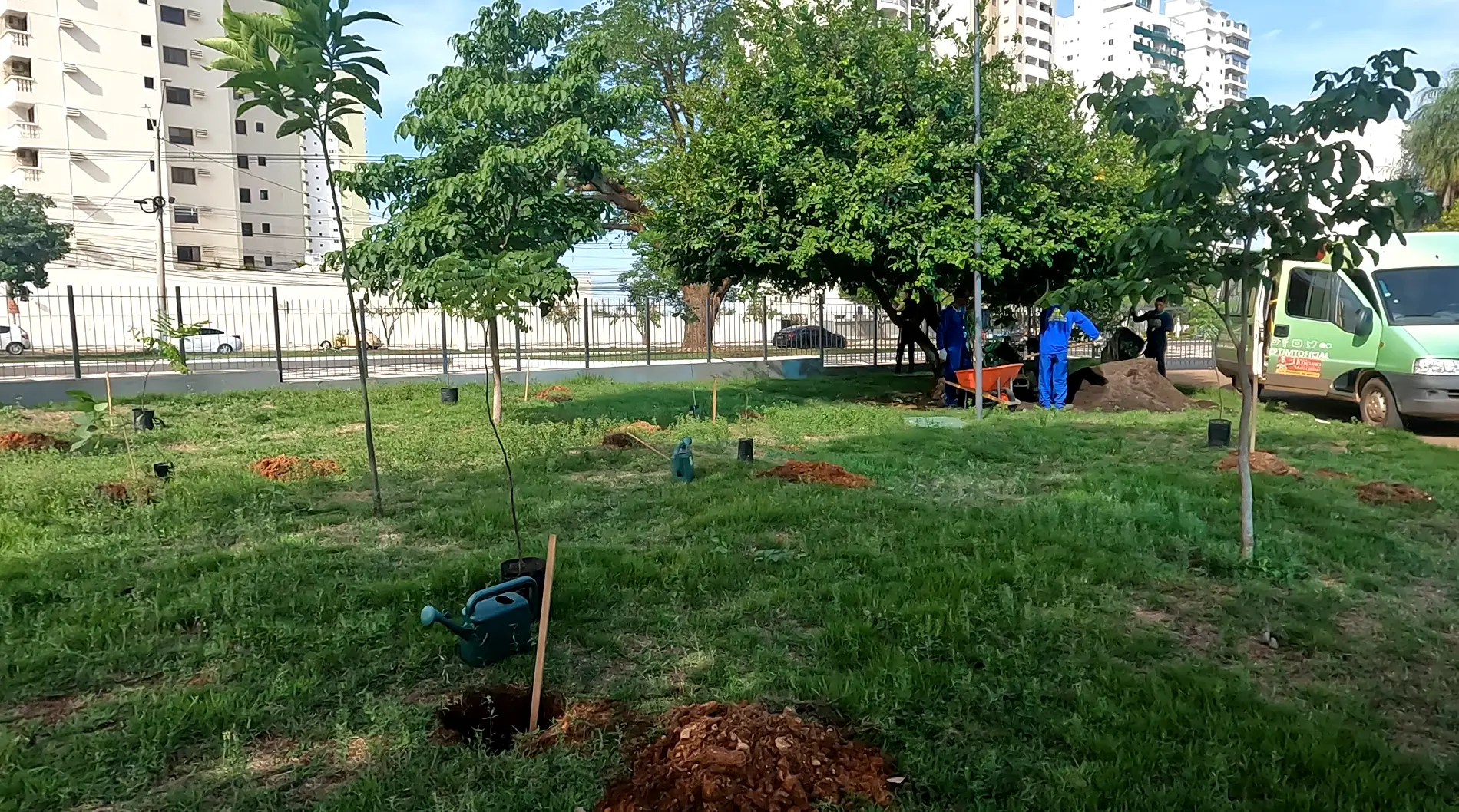 Verde Novo (6).webp