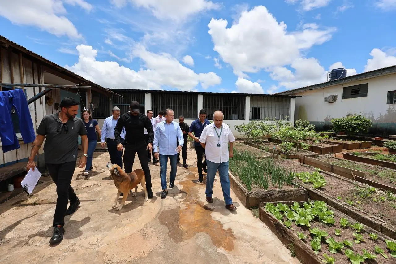 Um grupo de homens caminha por uma área externa com horta em canteiros de madeira. À esquerda, um cachorro acompanha o grupo. O dia está ensolarado com nuvens brancas no céu azul.