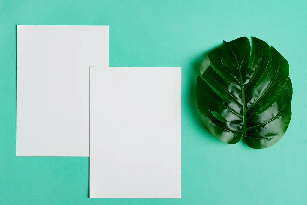 Duas folhas de papel branco estão sobre fundo verde ao lado de uma folha grande de planta. A imagem remete à sustentabilidade, consumo consciente de papel e relação entre natureza e materiais.