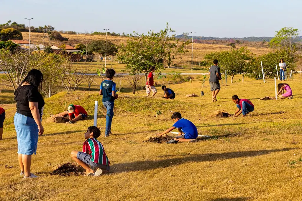 No parque ecológico de Nova Brasilândia, diversas crianças plantam mudas de árvores no gramado, sob um sol forte.