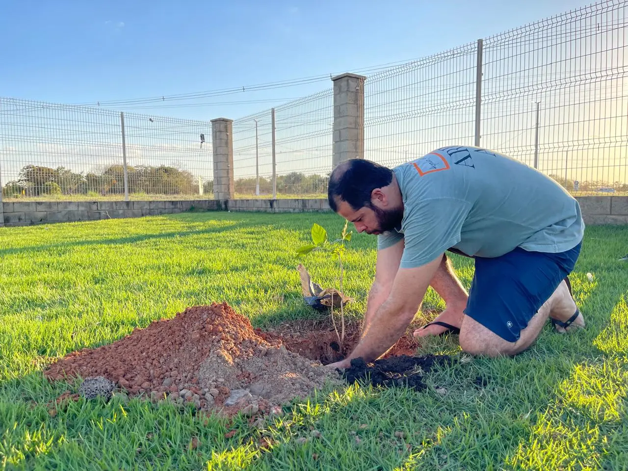 Homem ajoelhado no gramado planta uma muda de árvore na terra. Ele veste camiseta verde-clara e bermuda azul. Ao fundo, vê-se uma cerca de metal sobre mureta de concreto.