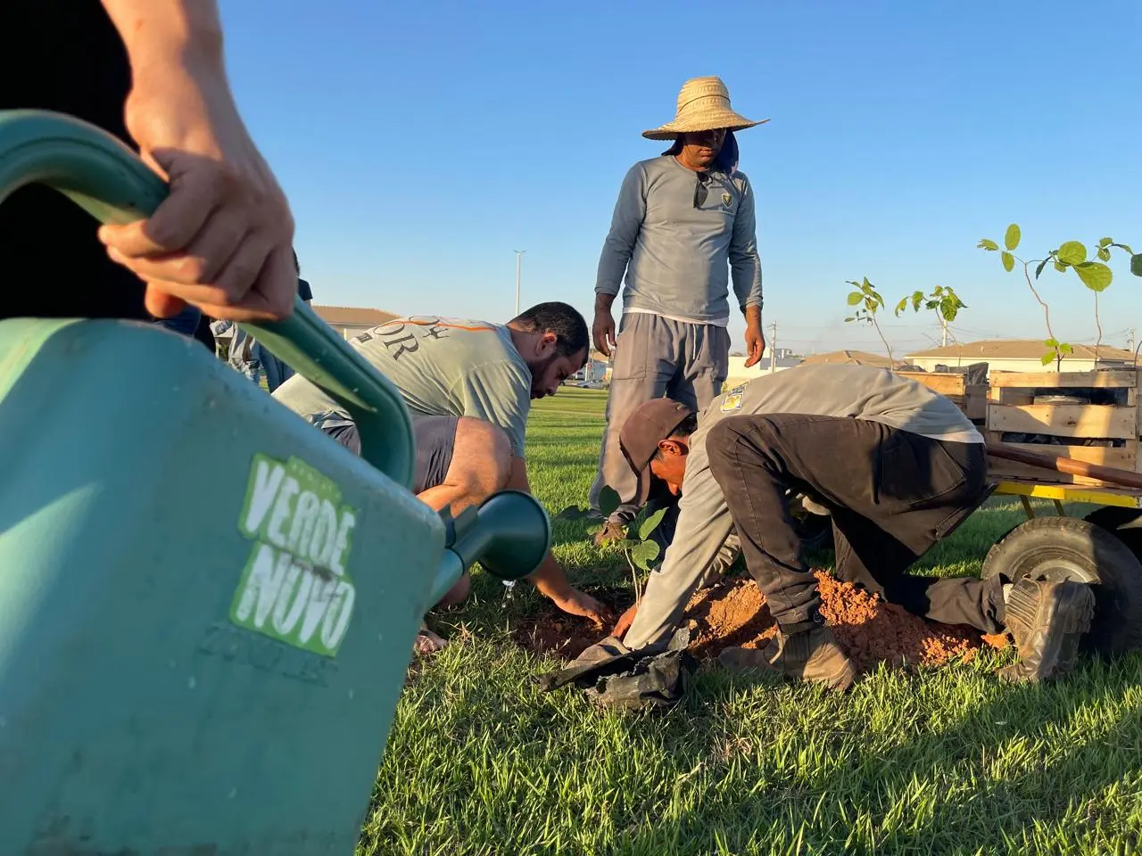 Homens plantam uma muda de árvore em área gramada. Em primeiro plano, uma mão segura um regador verde com adesivo "VERDE NOVO". Um homem de chapéu de palha observa ao fundo.